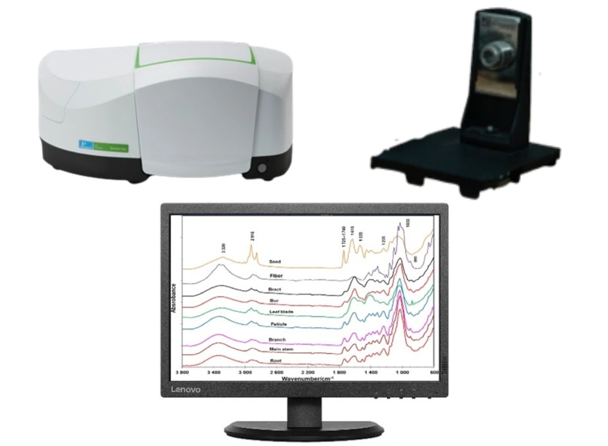 Pattern Making and Grading Lab