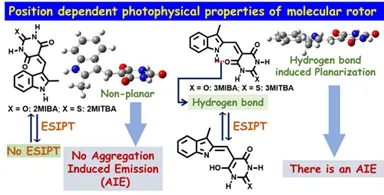Substituent Position Dependent Photophysical Properties of Indole